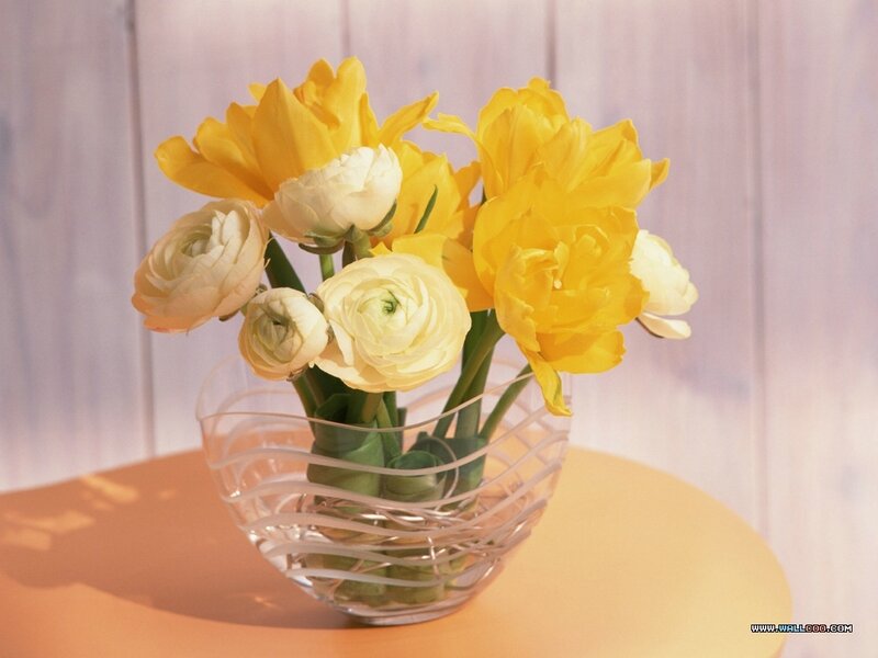 Yellow and White Flowers