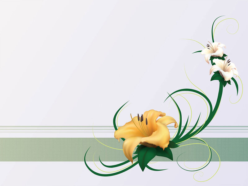 Yellow and White Lilies — Calm