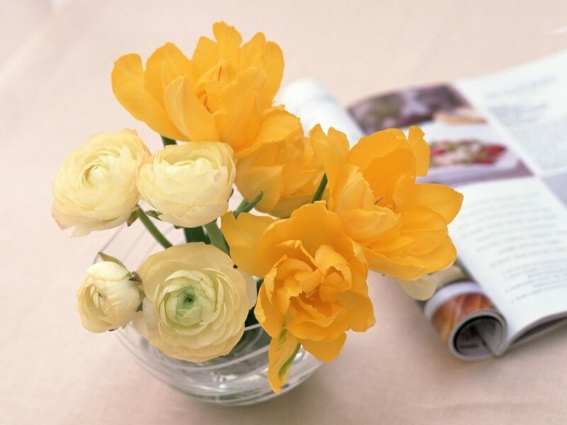 Yellow and White Ranunculus — Calm