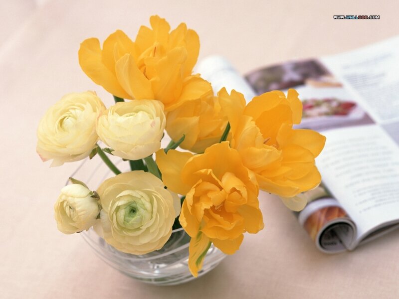 Yellow and White Ranunculus
