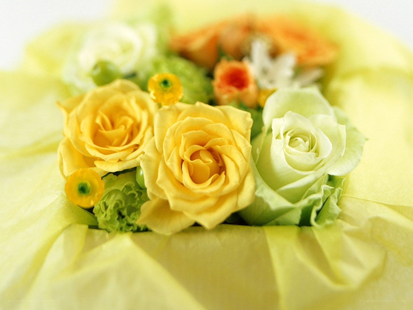 Yellow and white roses bouquet