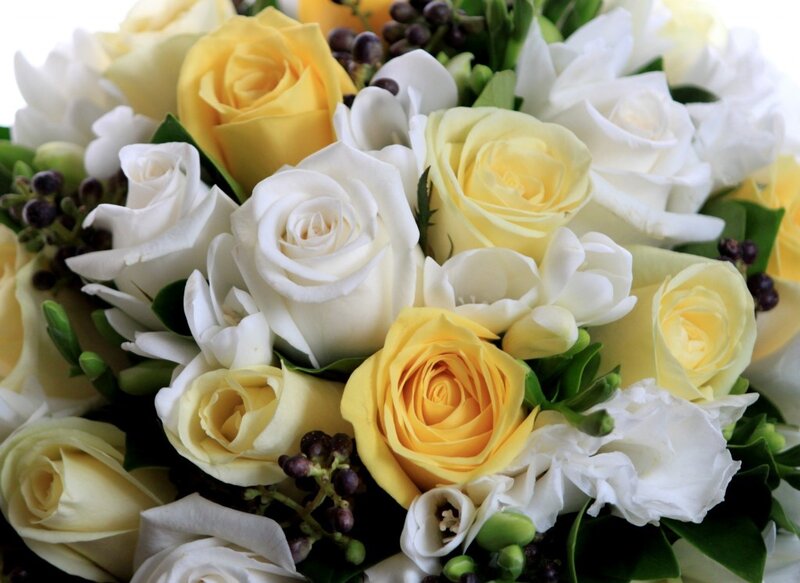 Yellow and White Roses — Calm, Photograph, Green Leaves