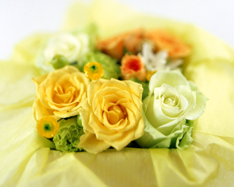 Yellow and White Roses — Calm, Photograph