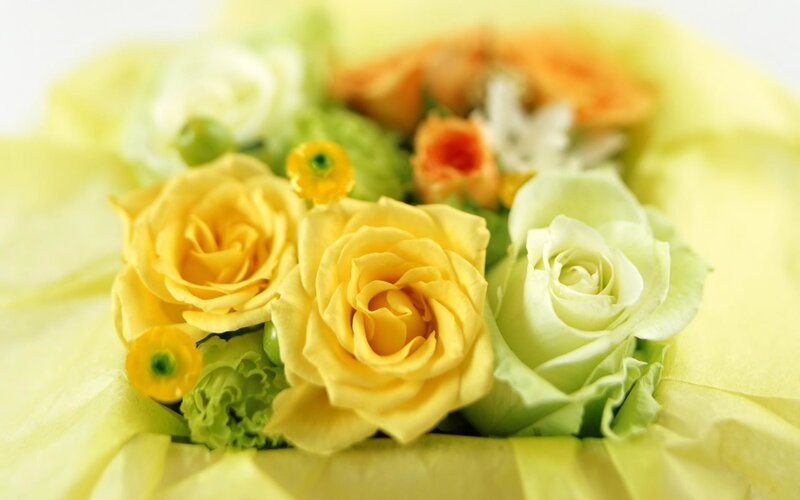 Yellow and White Roses