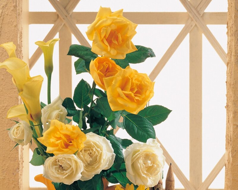 Yellow and white roses with calla lilies