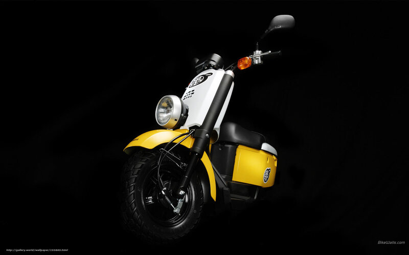 Yellow and White Scooter — Black