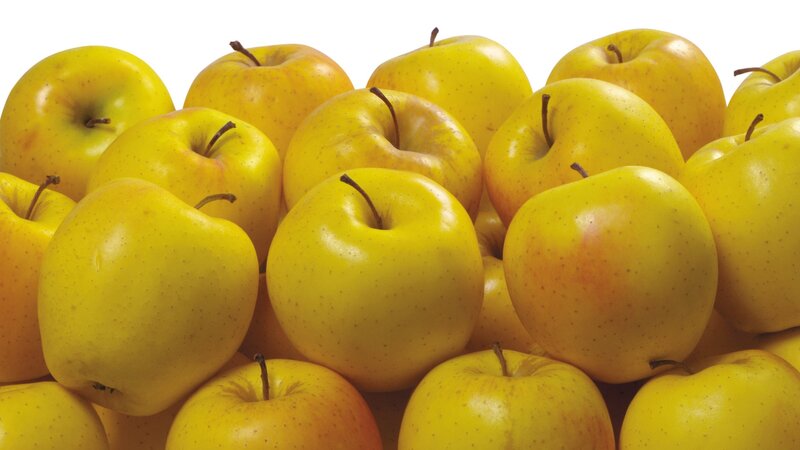 Yellow Apples in Pile