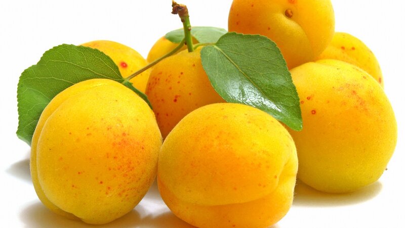 Yellow Apricots with Leaves — Fresh