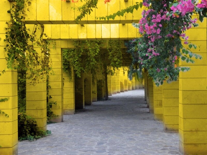 yellow arched walkway with flowers