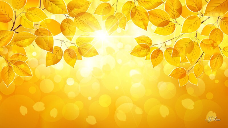 Yellow Autumn Leaves — Warm
