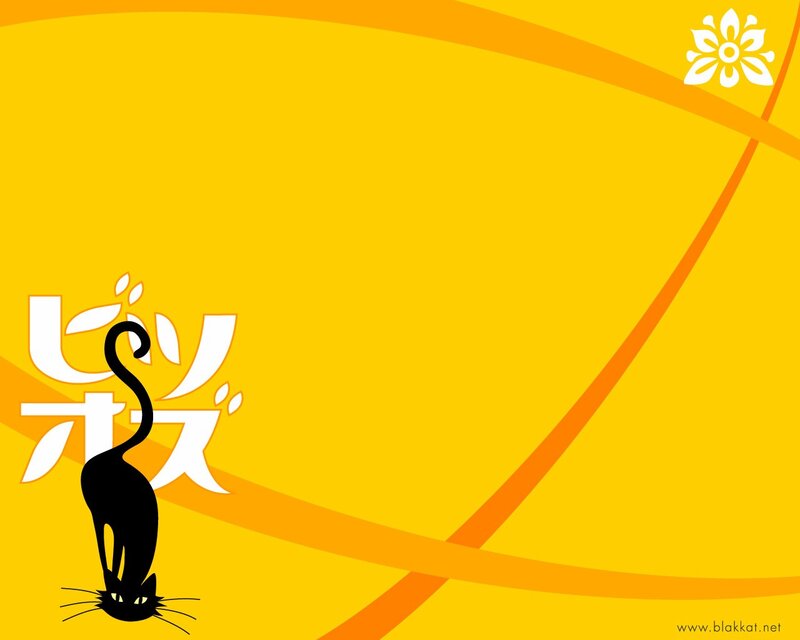 yellow background with cat illustration