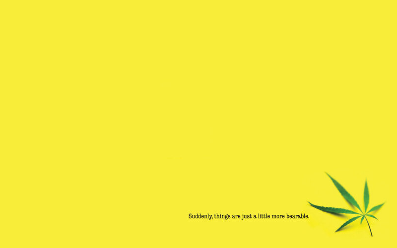 yellow background with leaf