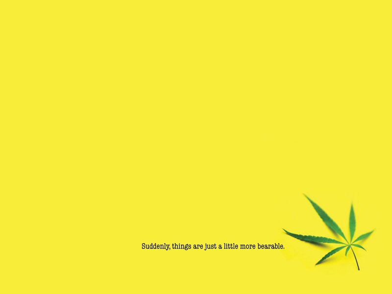 yellow background with leaf