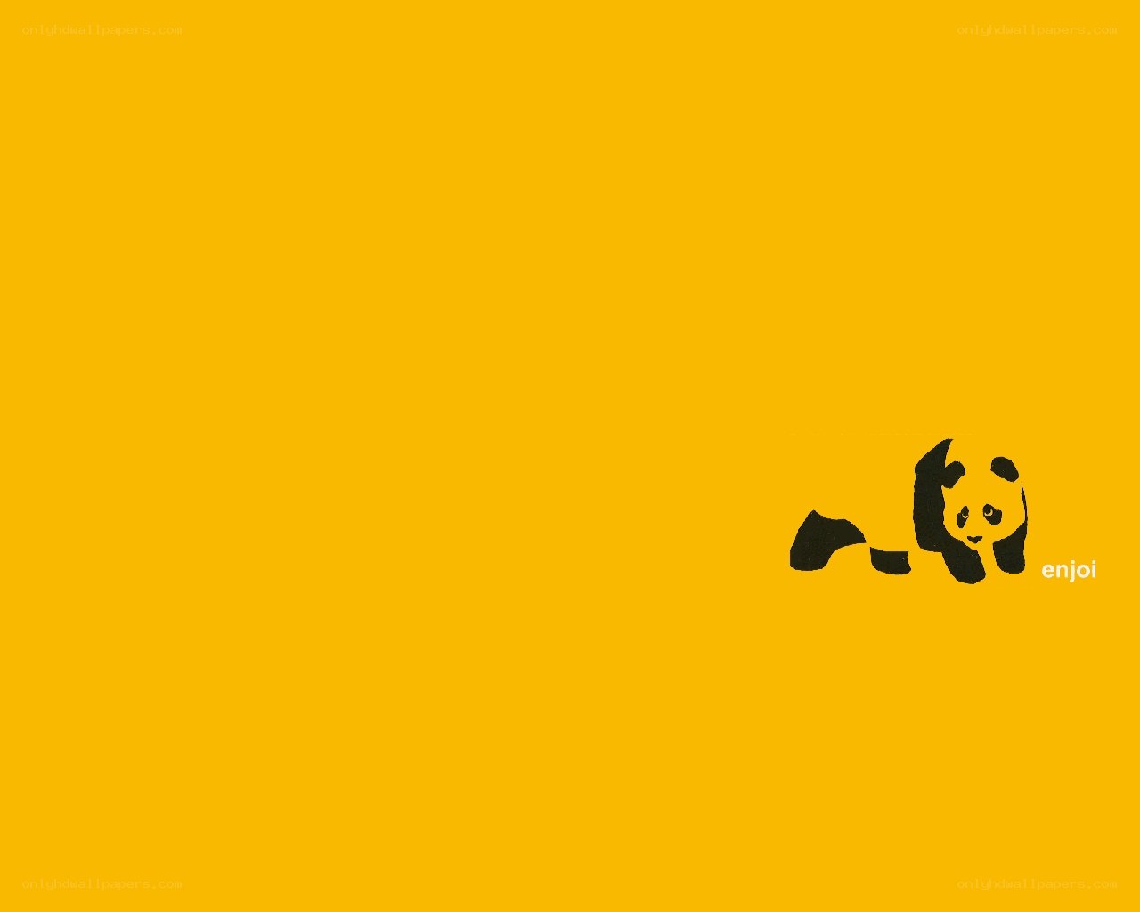 yellow background with panda