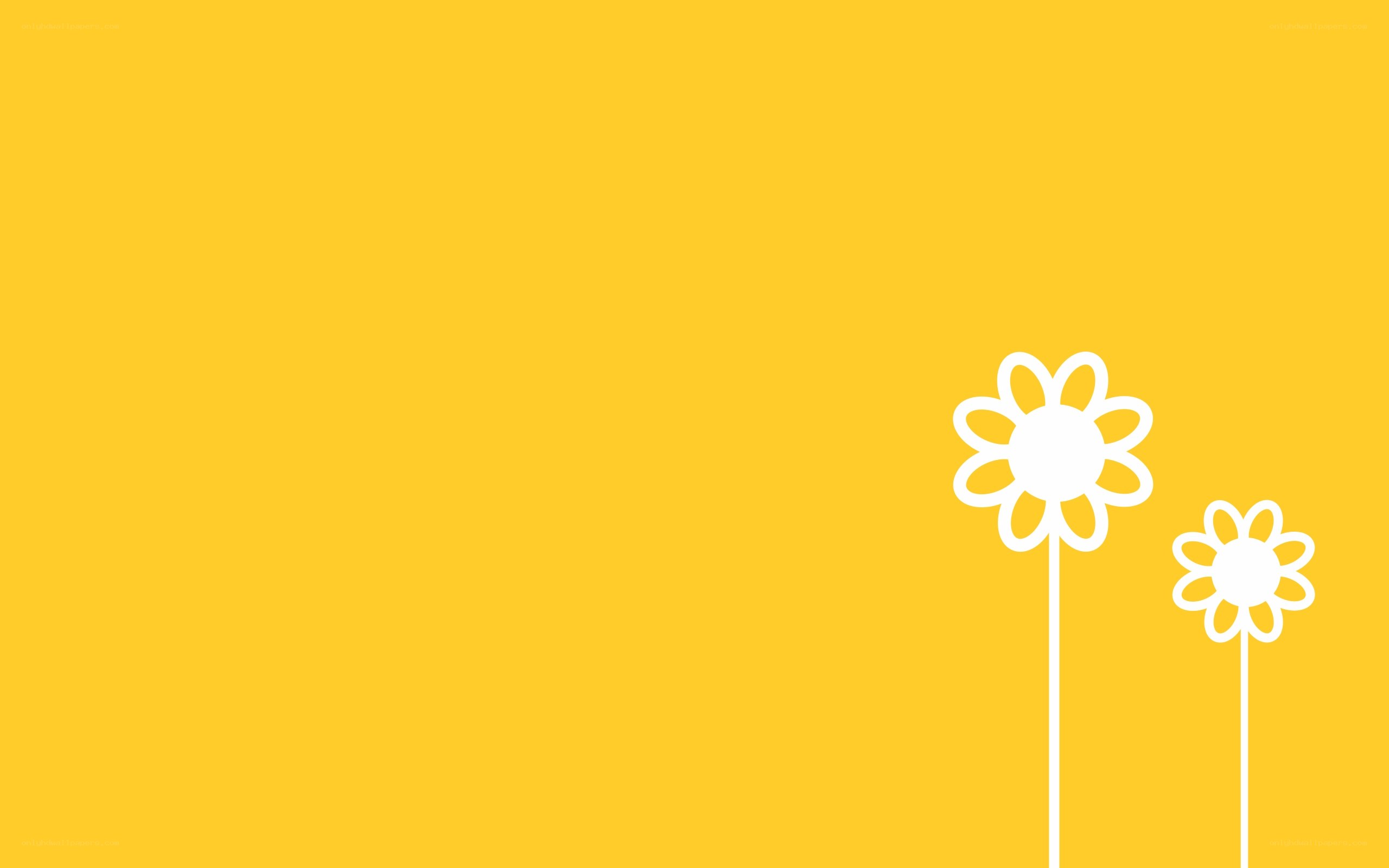yellow background with white flowers