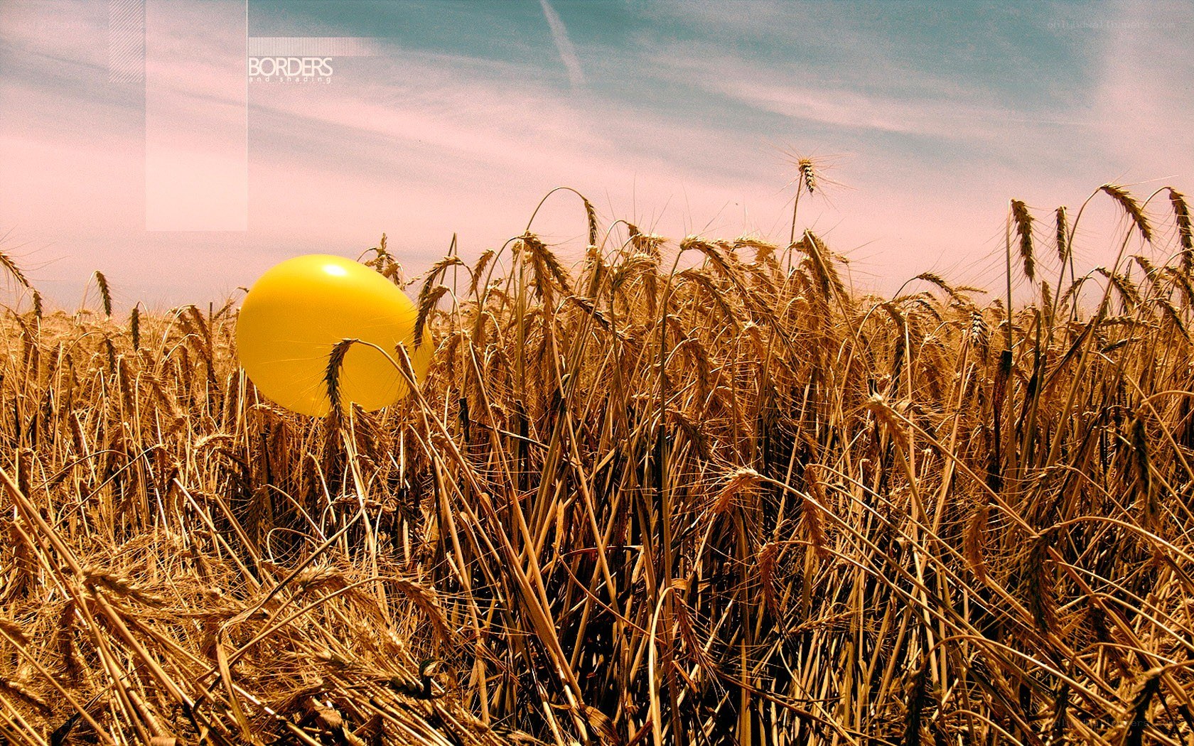 Yellow balloon in wheat field
