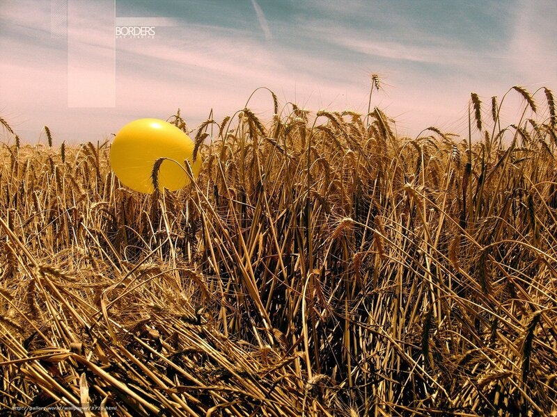 Yellow balloon in wheat field