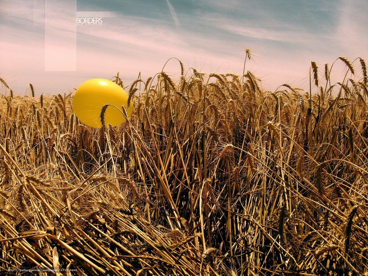 Yellow balloon in wheat field
