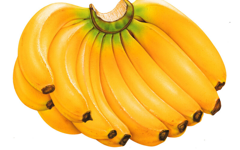yellow bananas in a bunch