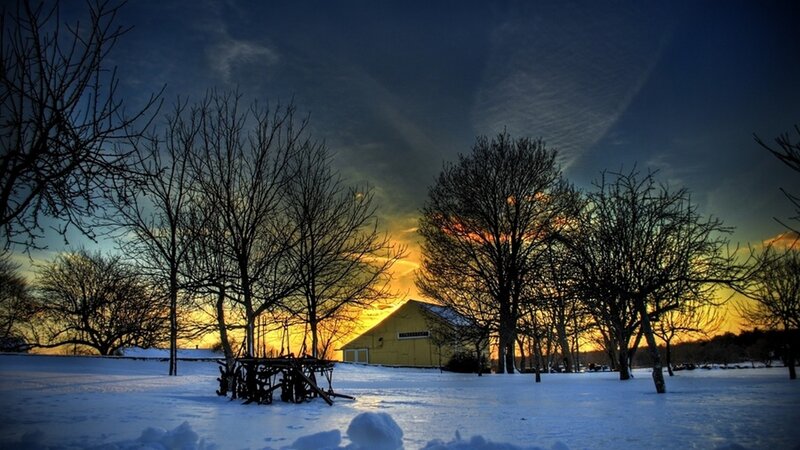 Yellow Barn in Snow — Blue