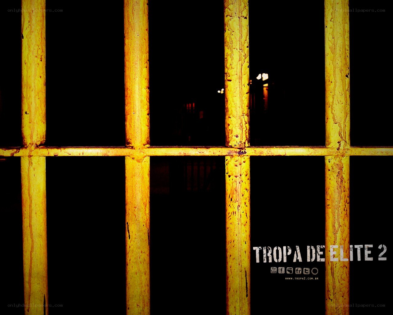yellow bars at night
