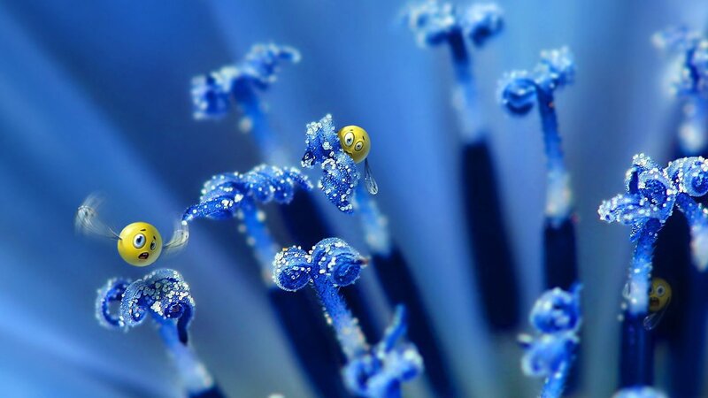 yellow bees on blue flowers