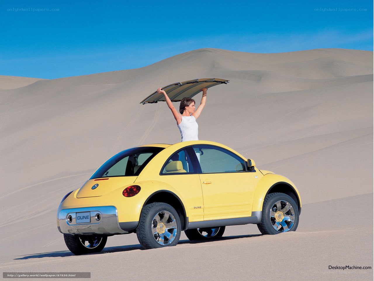 Yellow Beetle in the desert