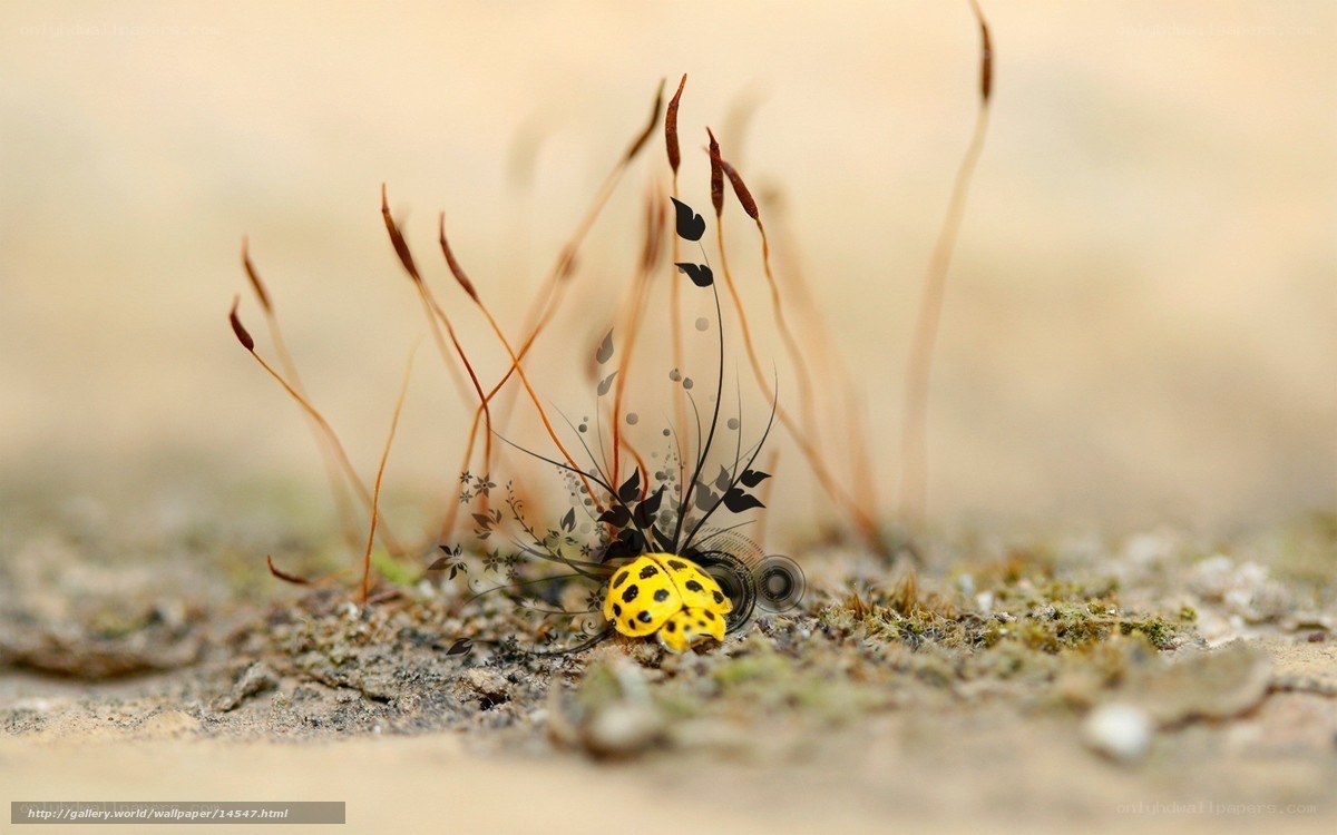 Yellow beetle on mossy ground