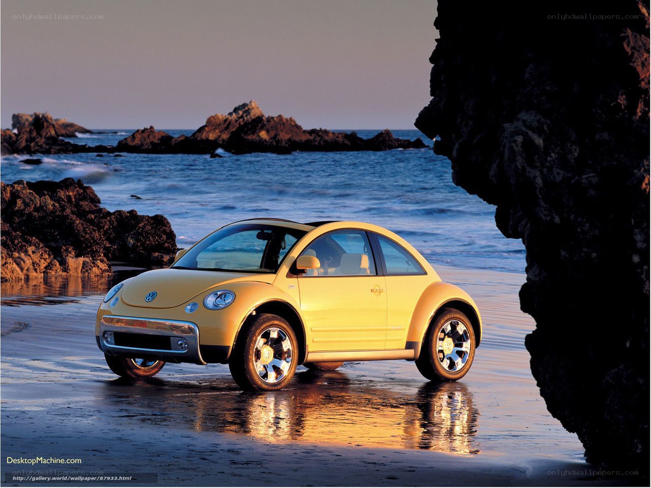 Yellow Beetle on the beach