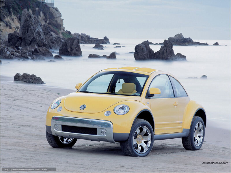 Yellow Beetle on the beach