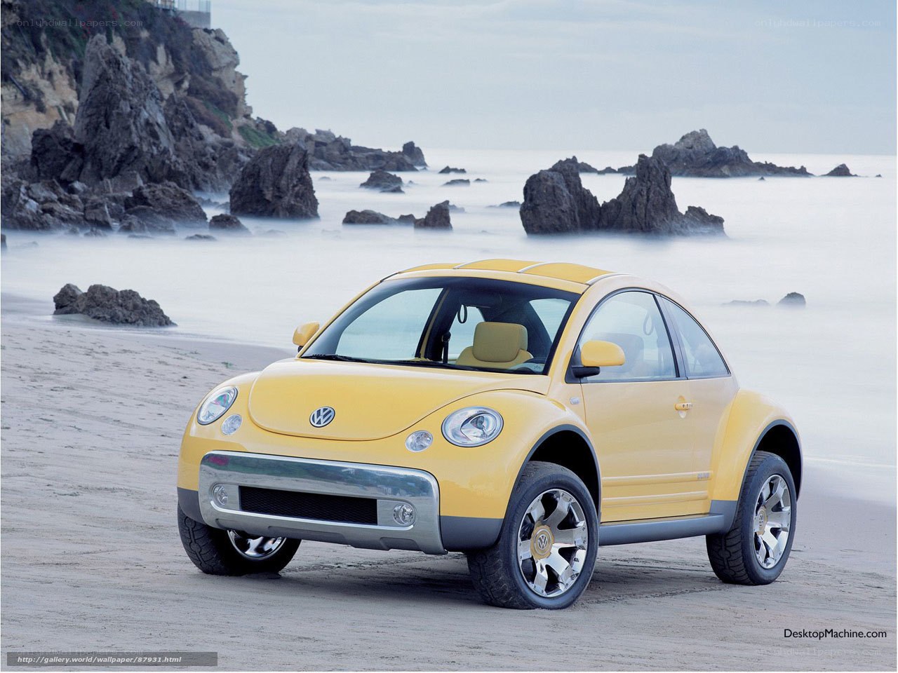 Yellow Beetle on the beach