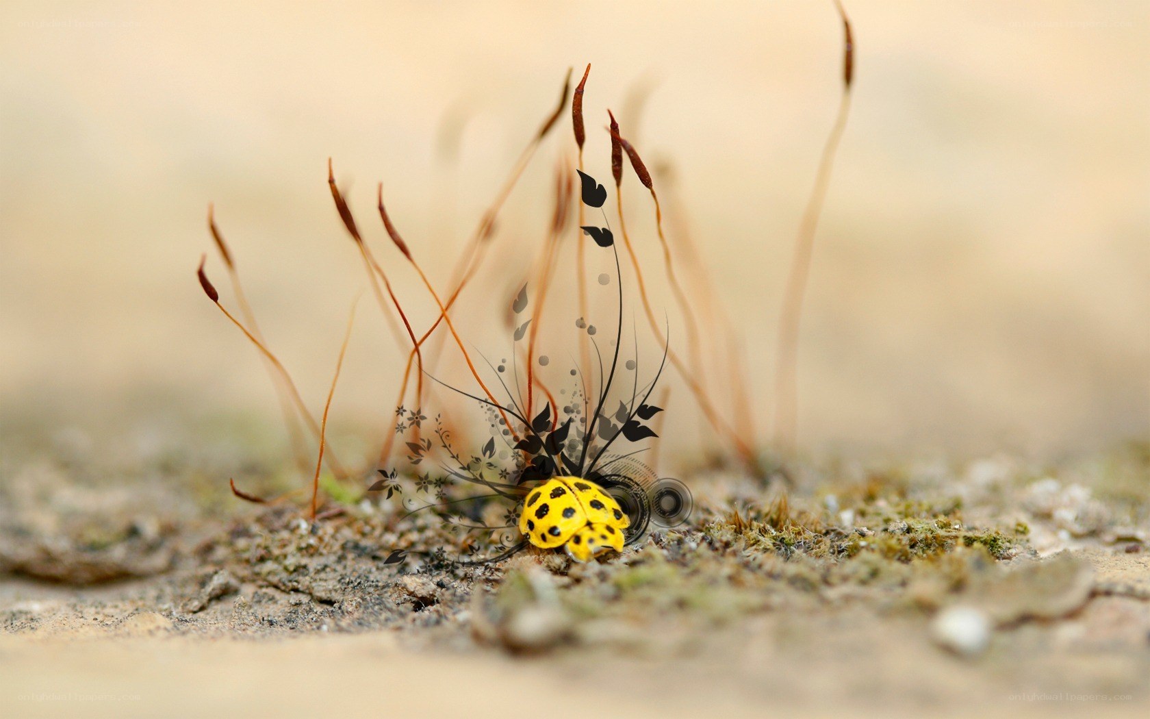 Yellow beetle with artistic overlay