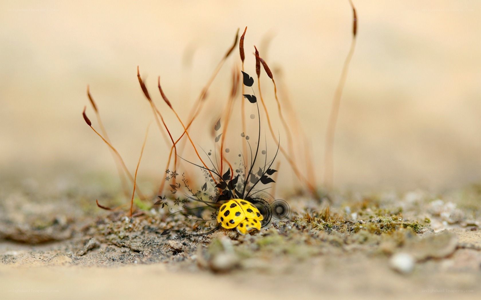 Yellow beetle with artistic overlay