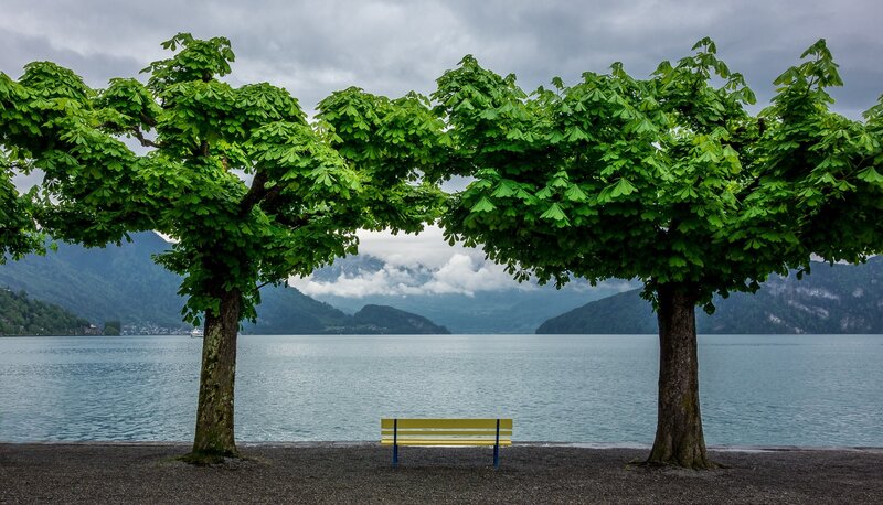 Yellow Bench by Lake