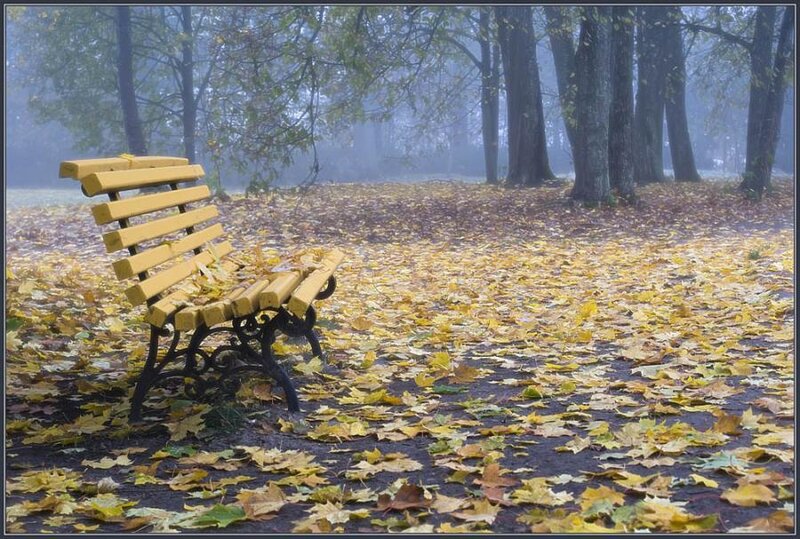 Yellow Bench in Park