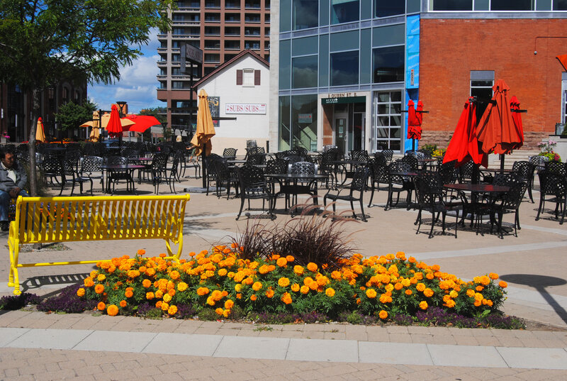 Yellow Bench in Plaza