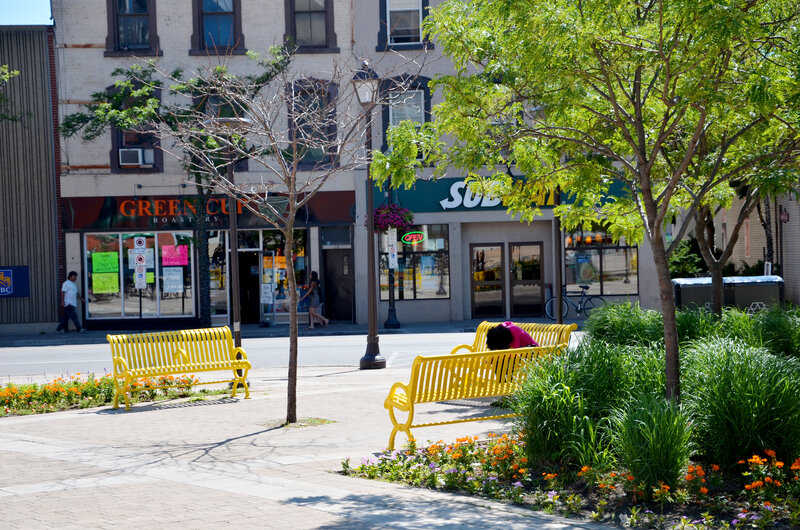 Yellow Benches in Park