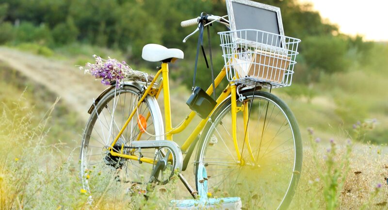 Yellow Bicycle in Field