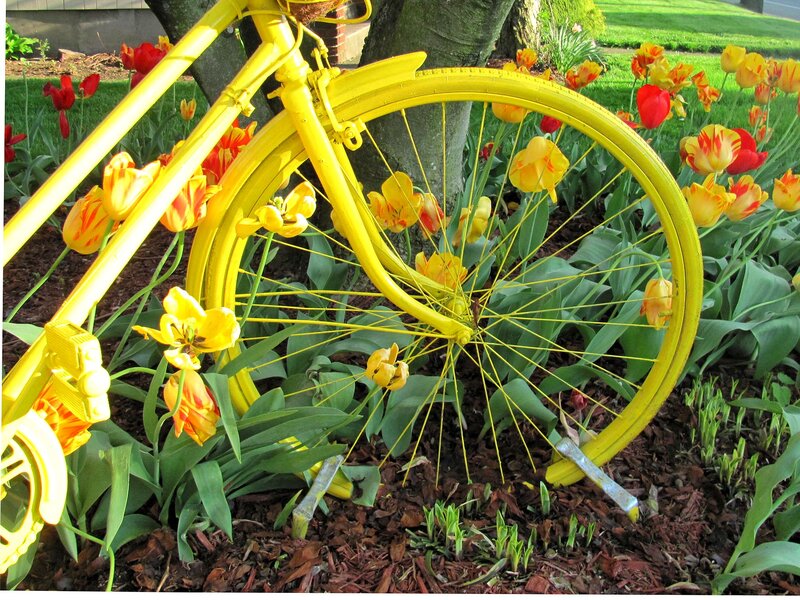 Yellow Bicycle in Garden