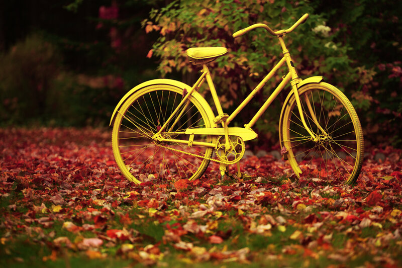 Yellow Bicycle in Leaves