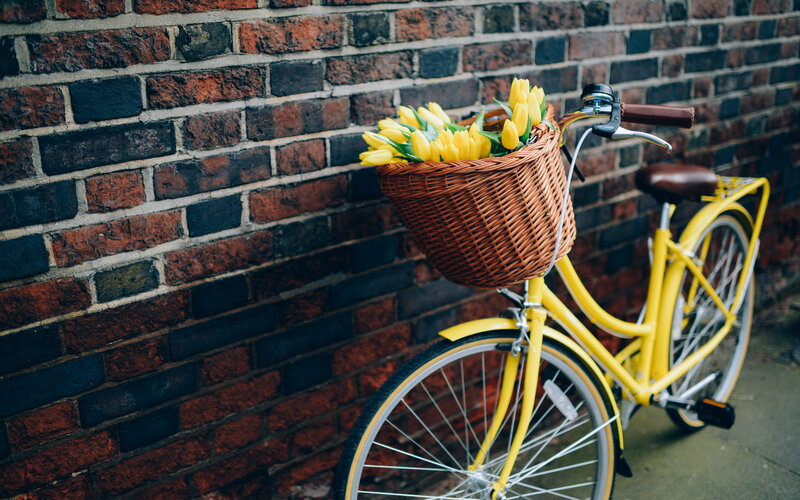Yellow Bicycle with Basket — Calm