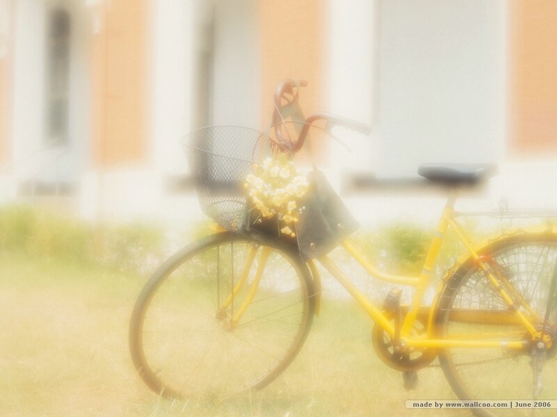 Yellow Bicycle with Flowers — Serene