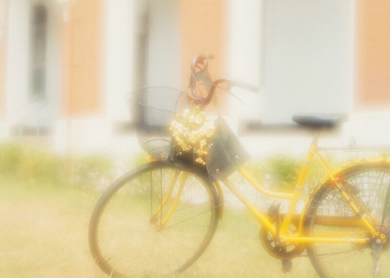 Yellow Bicycle with Flowers