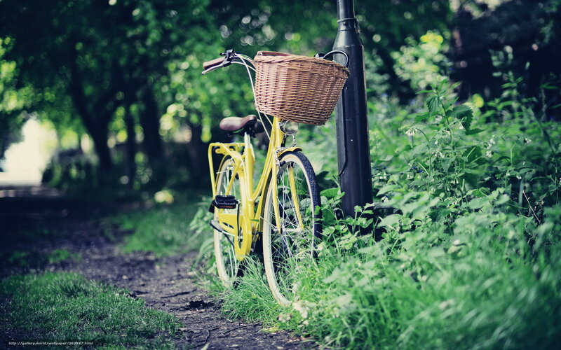 Yellow bike in park