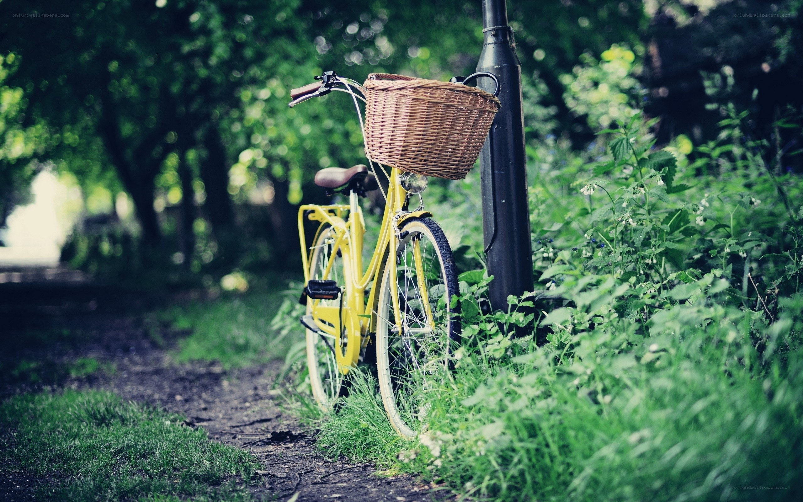 Yellow bike with basket in park