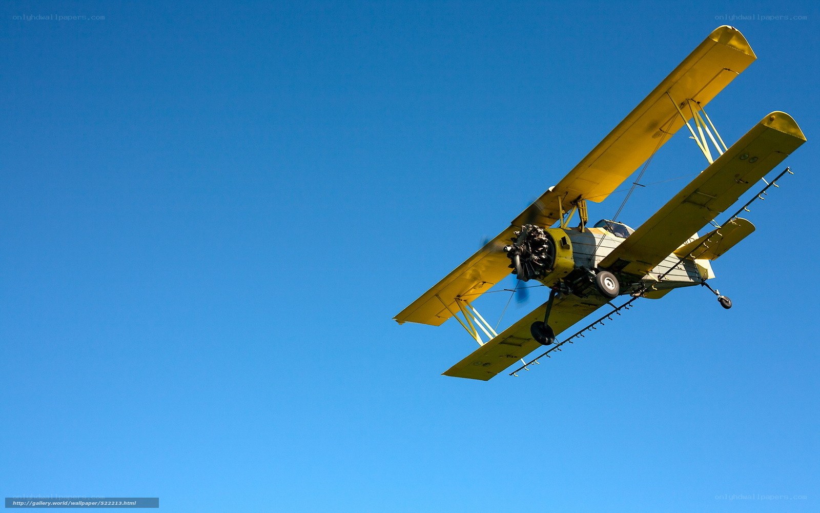 Yellow biplane in flight