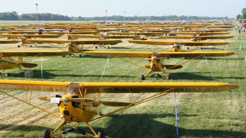 Yellow Biplanes on Grass