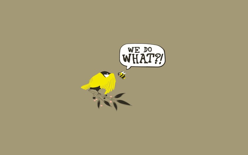 Yellow Bird and Bee — Brown, Curious
