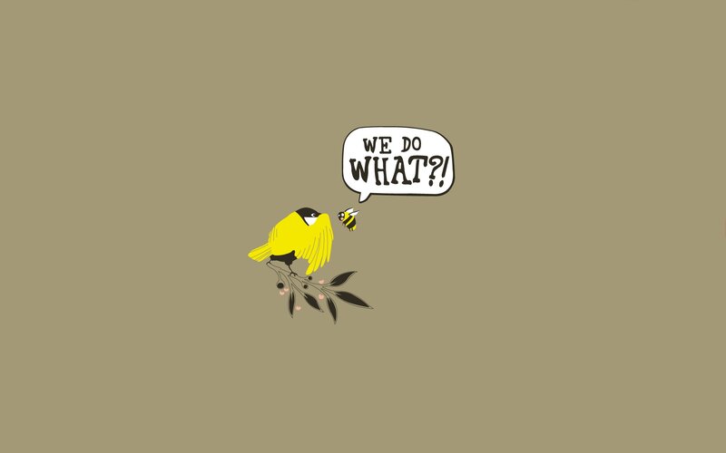 Yellow Bird and Bee — Brown
