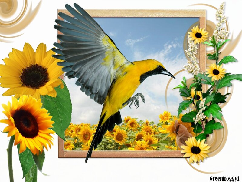 Yellow Bird in Flight — Bright